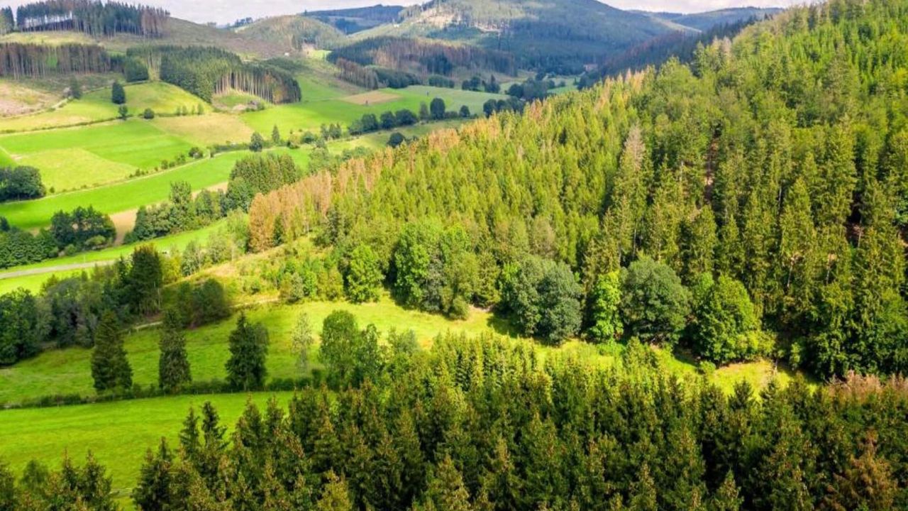 AreaSummer5KM AreaSummer5KM